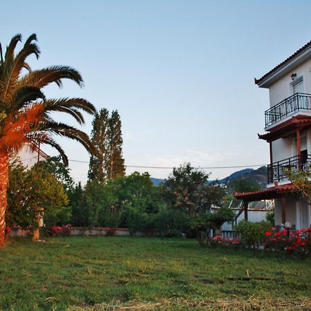 פטרה Villa Vicky מראה חיצוני תמונה