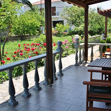 פטרה Villa Vicky מראה חיצוני תמונה